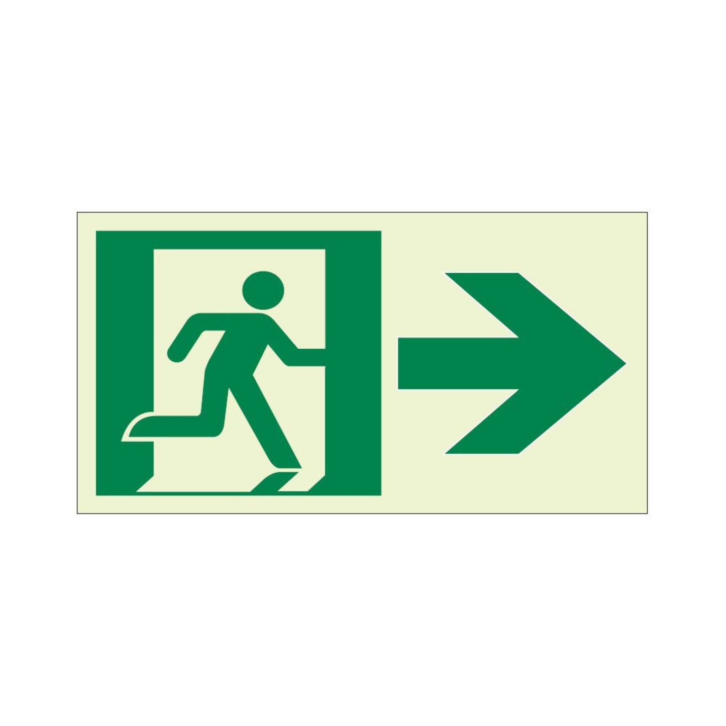 Ecoglo® Luminous Exit Path Marking Signs - Rigid Vinyl Series
