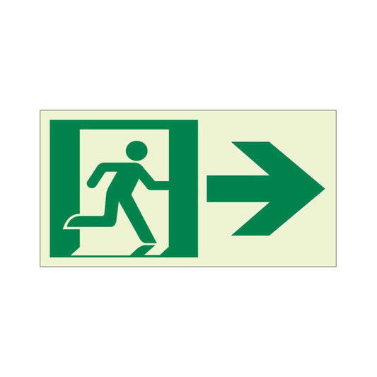 Ecoglo® Luminous Exit Path Marking Signs - Rigid Vinyl Series