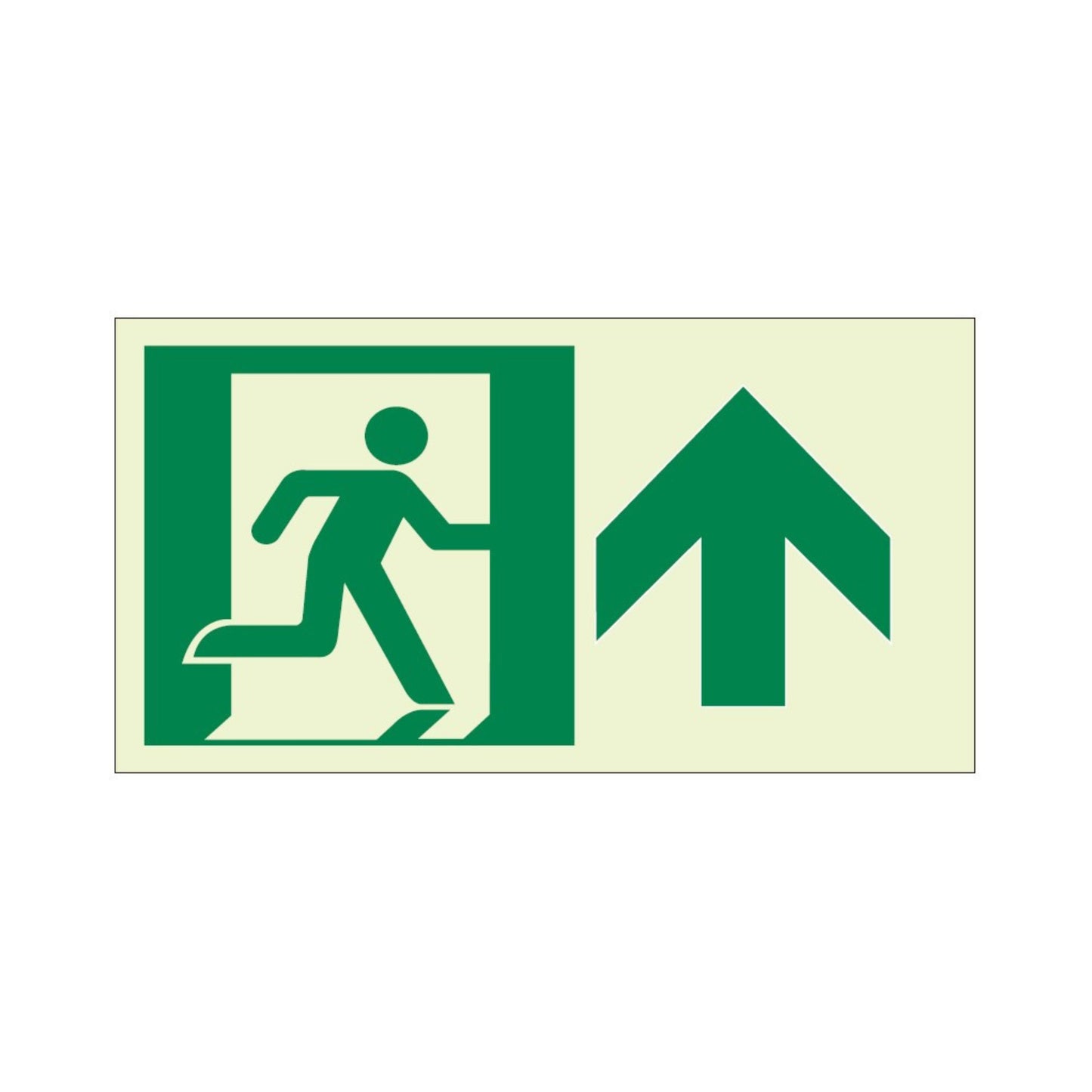 Ecoglo® Luminous Exit Path Marking Signs - Rigid Vinyl Series
