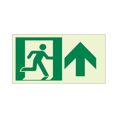 Ecoglo® Luminous Exit Path Marking Signs - Rigid Vinyl Series
